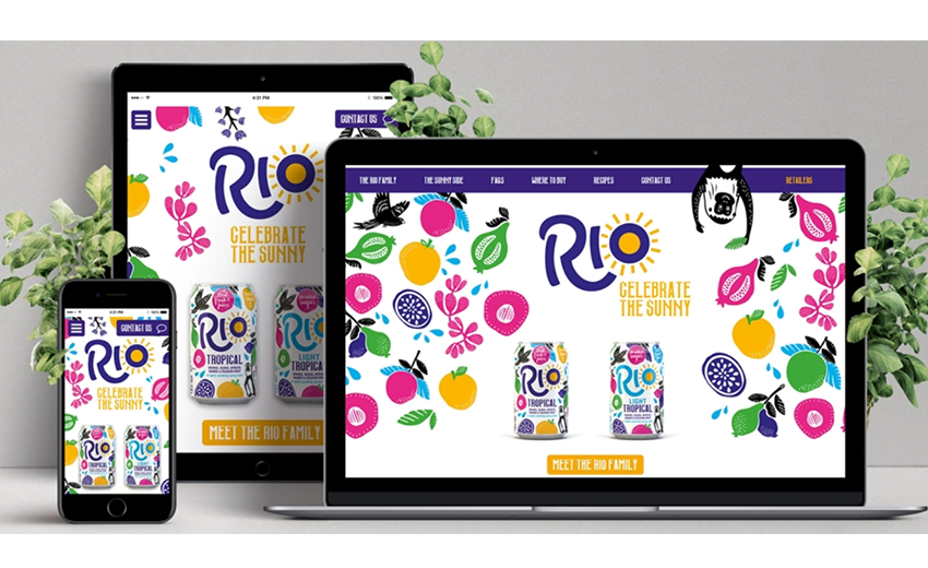 Rio Website Design is Responsive