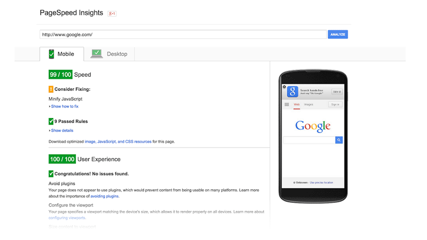 Google PageSpeed Test