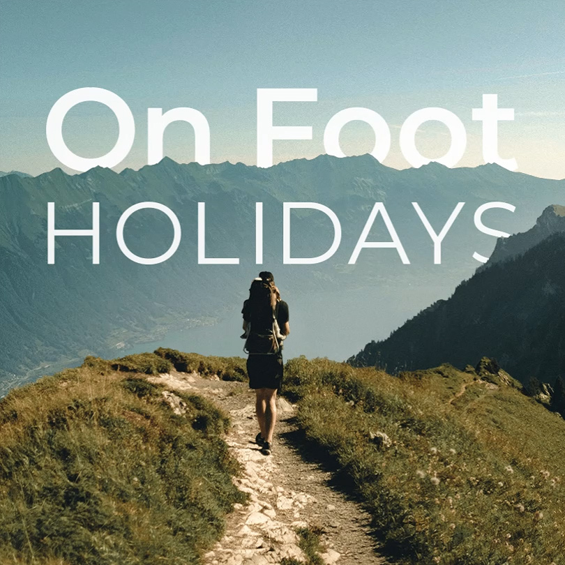 Creating the perfect virtual tour guide