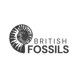 British Fossils