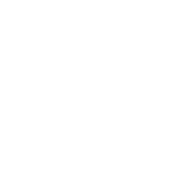Manning Impex logo