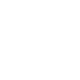 Steve Vick International logo