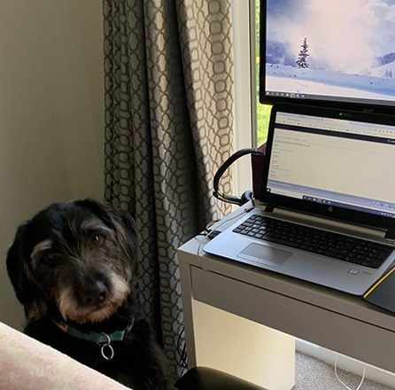 Working from home during Lockdown