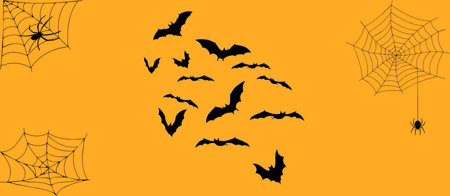 Spooktacular goings on at Blue Frontier.