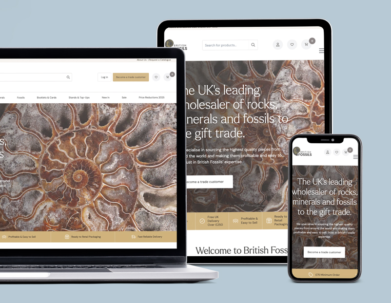 British Fossils website homepage.