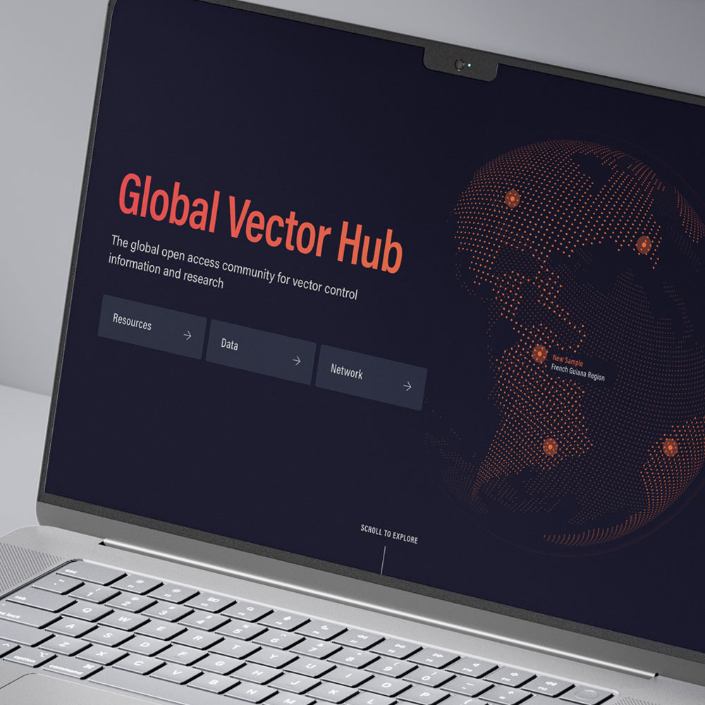 Design and Branding
