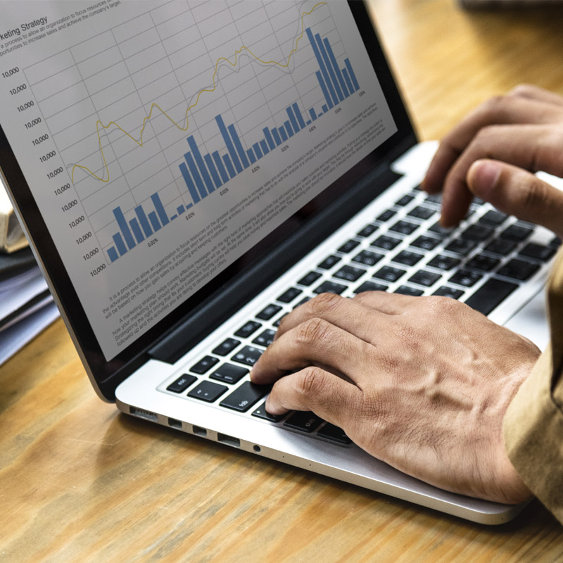Strategy - reports on laptop Strategy - reports on laptop