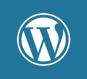 Guide to Custom 404 Page for Wordpress